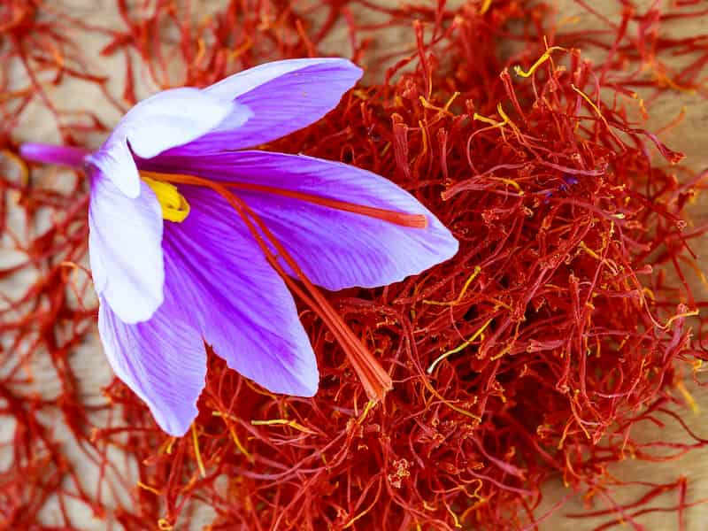 زعفران نگین اعلا با رشته های درشت و عطری دلنشین